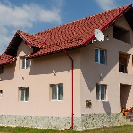 Pensiunea Aly Bumbesti Pitic Exterior foto