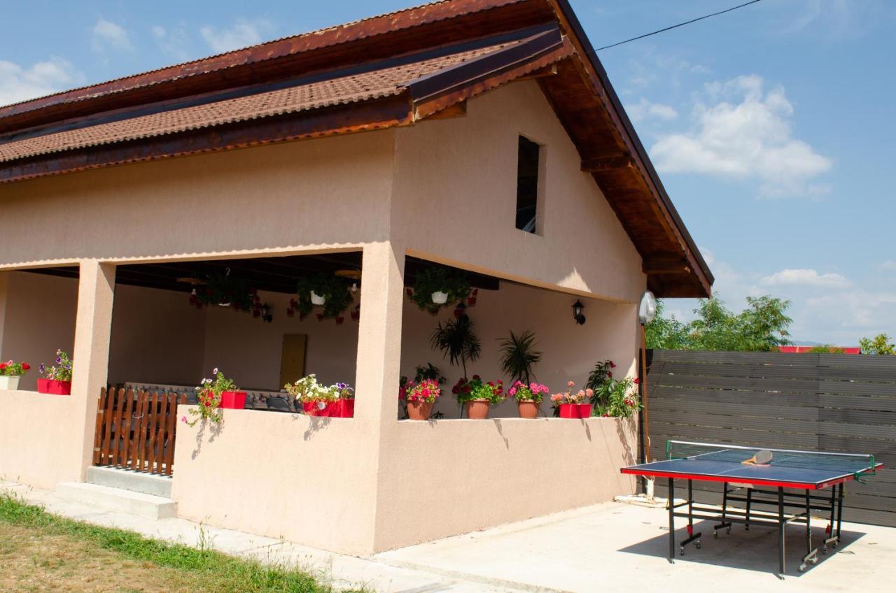 Pensiunea Aly Bumbesti Pitic Exterior foto