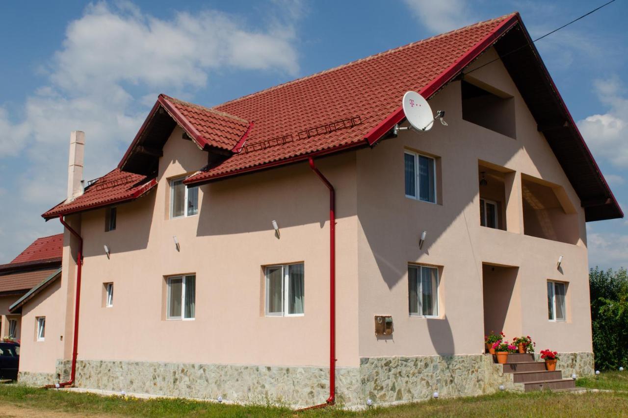Pensiunea Aly Bumbesti Pitic Exterior foto