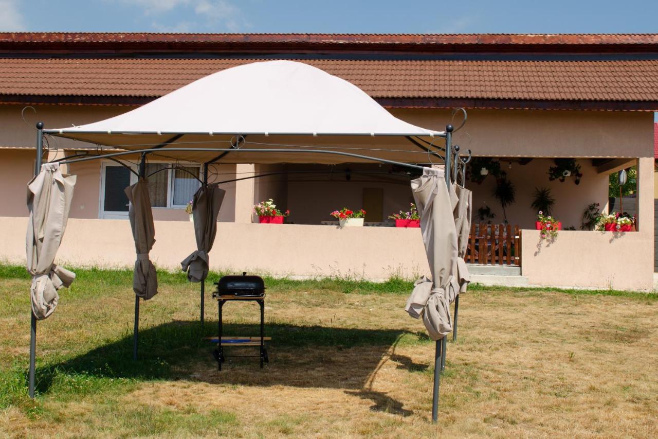 Pensiunea Aly Bumbesti Pitic Exterior foto